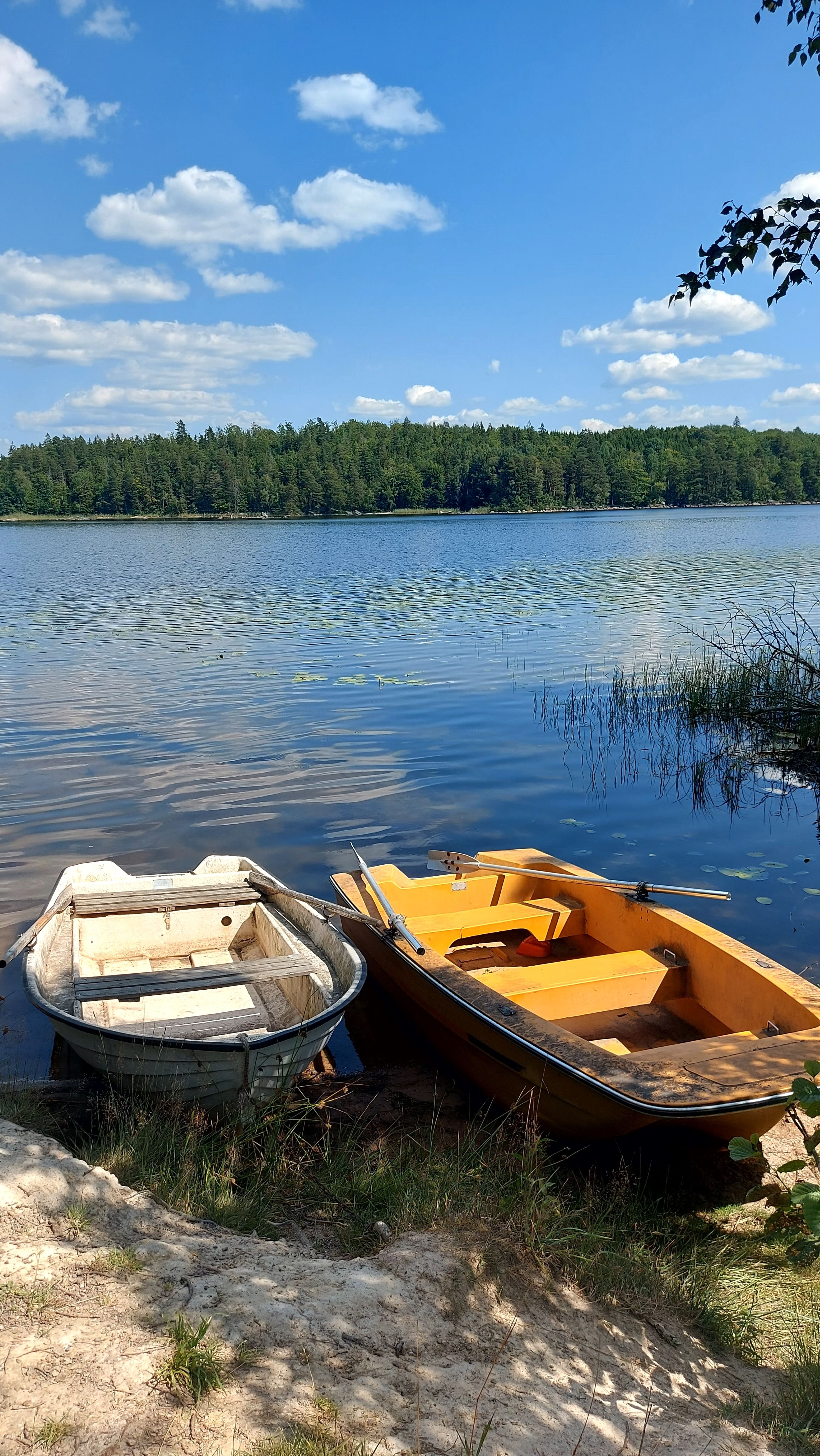 Two rustic wooden boats rest by a serene lakeside, surrounded by lush trees under a bright summer sky.