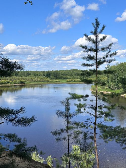 Free A serene riverbank landscape with pine trees and a clear blue sky, evoking a sense of calm. Stock Photo