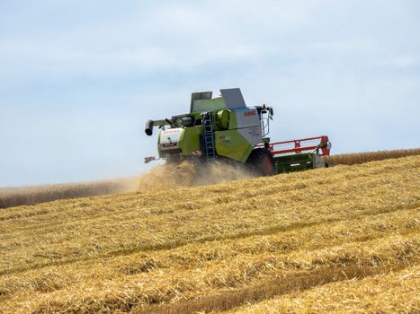 A combine harvester working in a golden wheat field during daytime, clear sky.