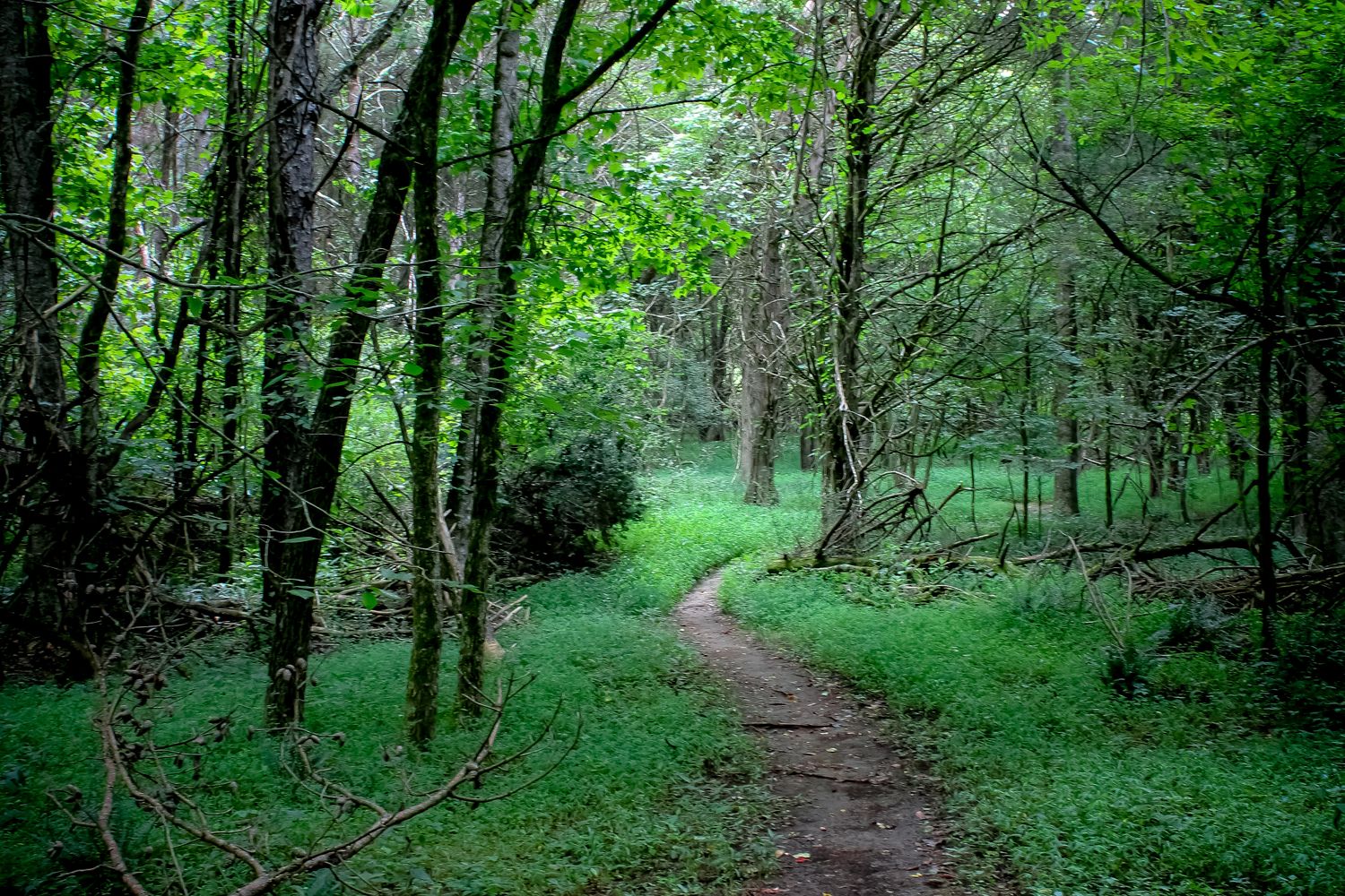 Phot Pathways Pathway Photos, Download The BEST Free Pathway Stock Photos & HD Images
