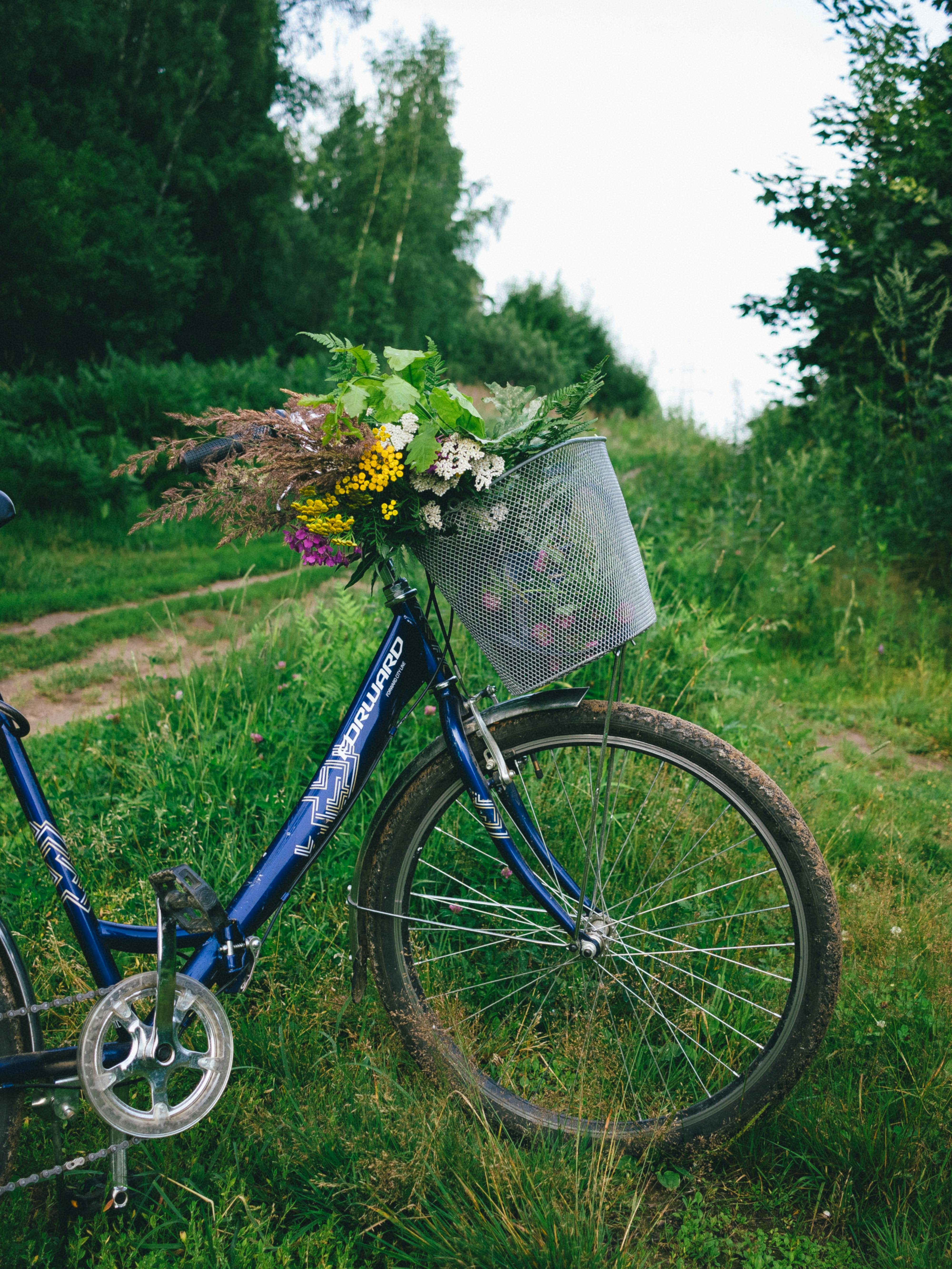 A blue bicycle with a basket of wildflowers on a green countryside path, capturing a peaceful rural setting.