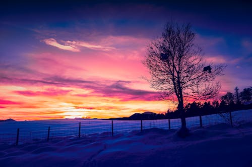 Free stock photo of adobe photoshop, beautiful sunset, beauty of nature