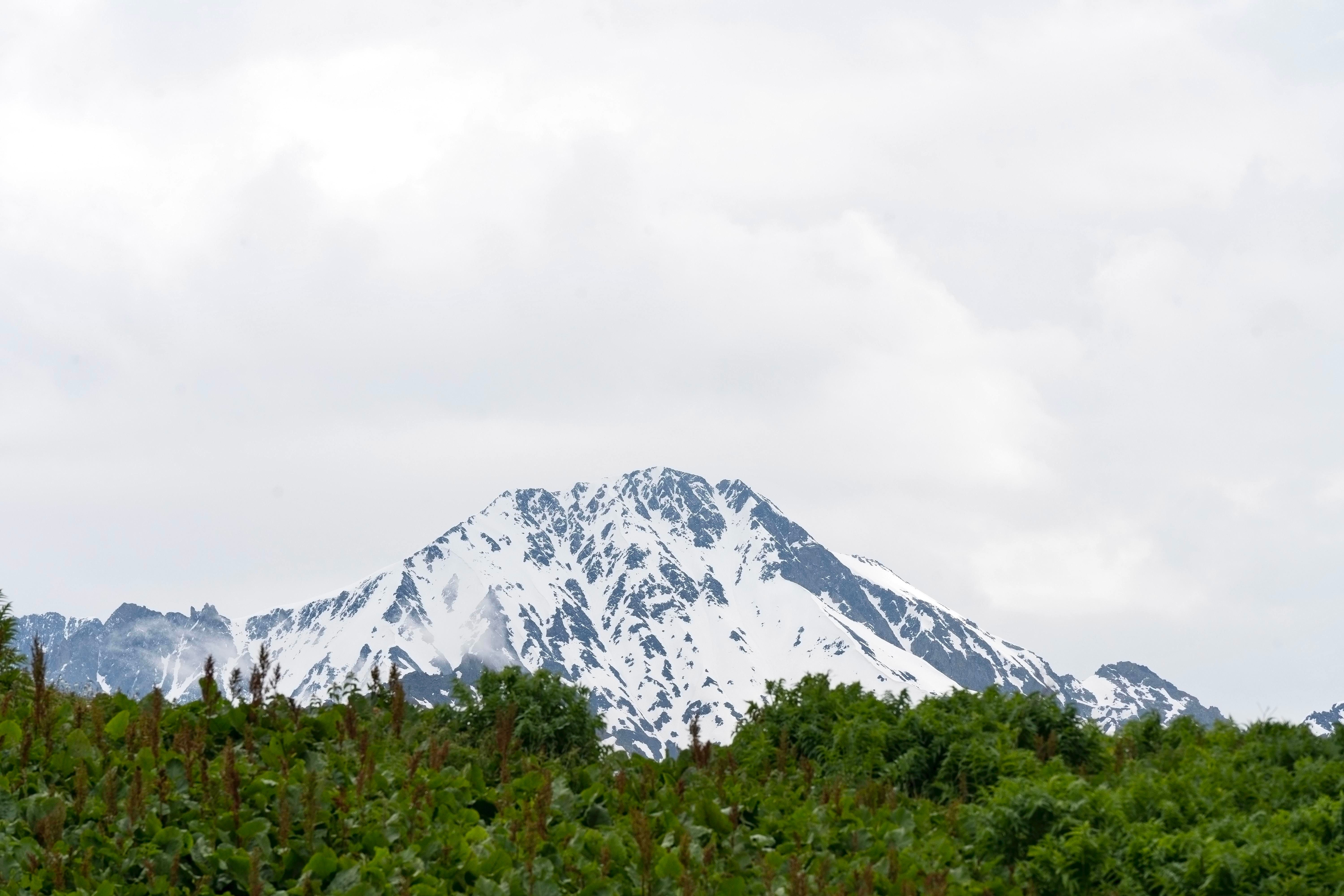 Alaska attorneys to provide free legal help on MLK Day holiday — Photo by Leyla Helvaci on Pexels