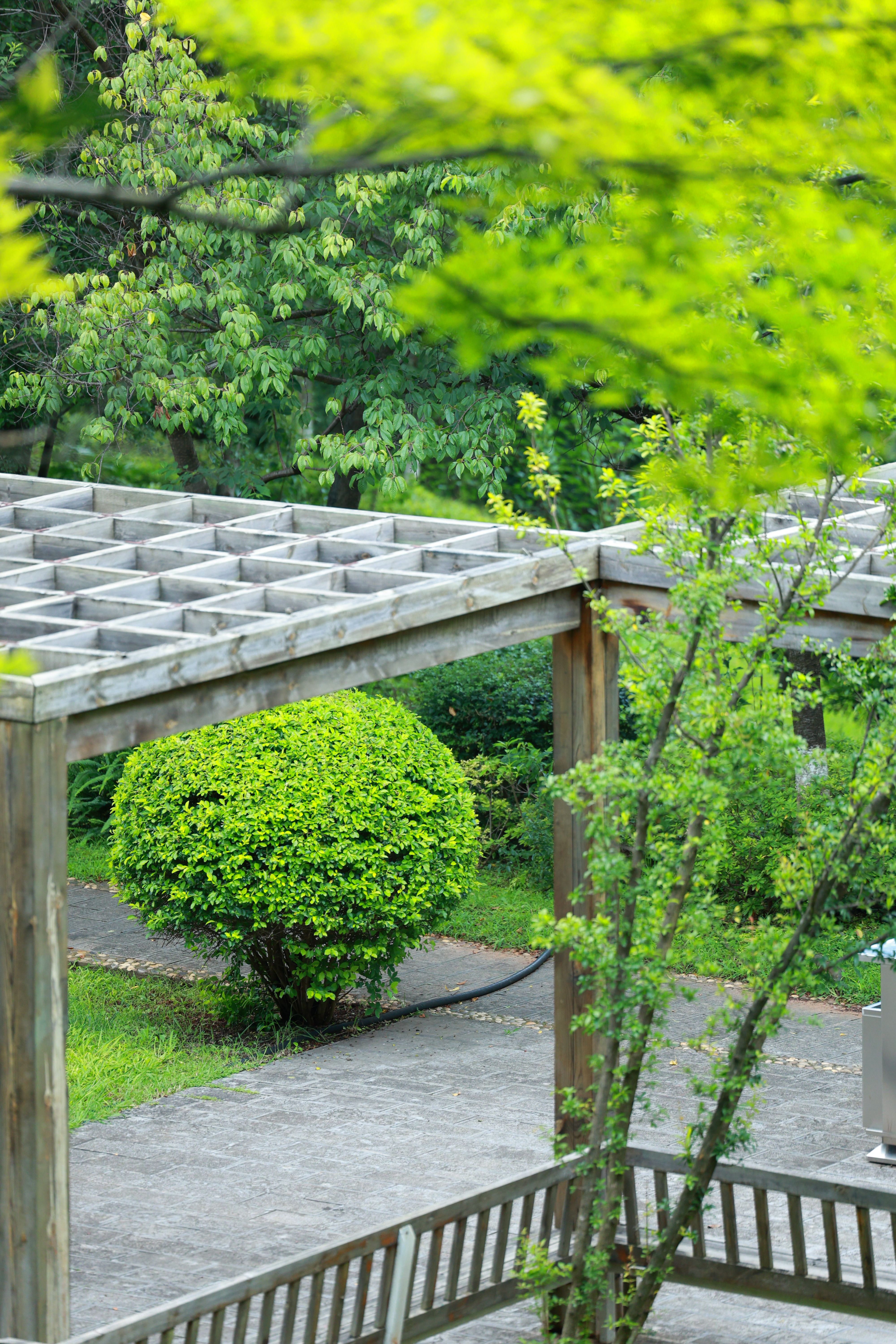 Détail Pergola à Braine-l'Alleud - Creative Solution