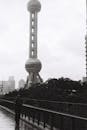 Dramatic View of Oriental Pearl Tower