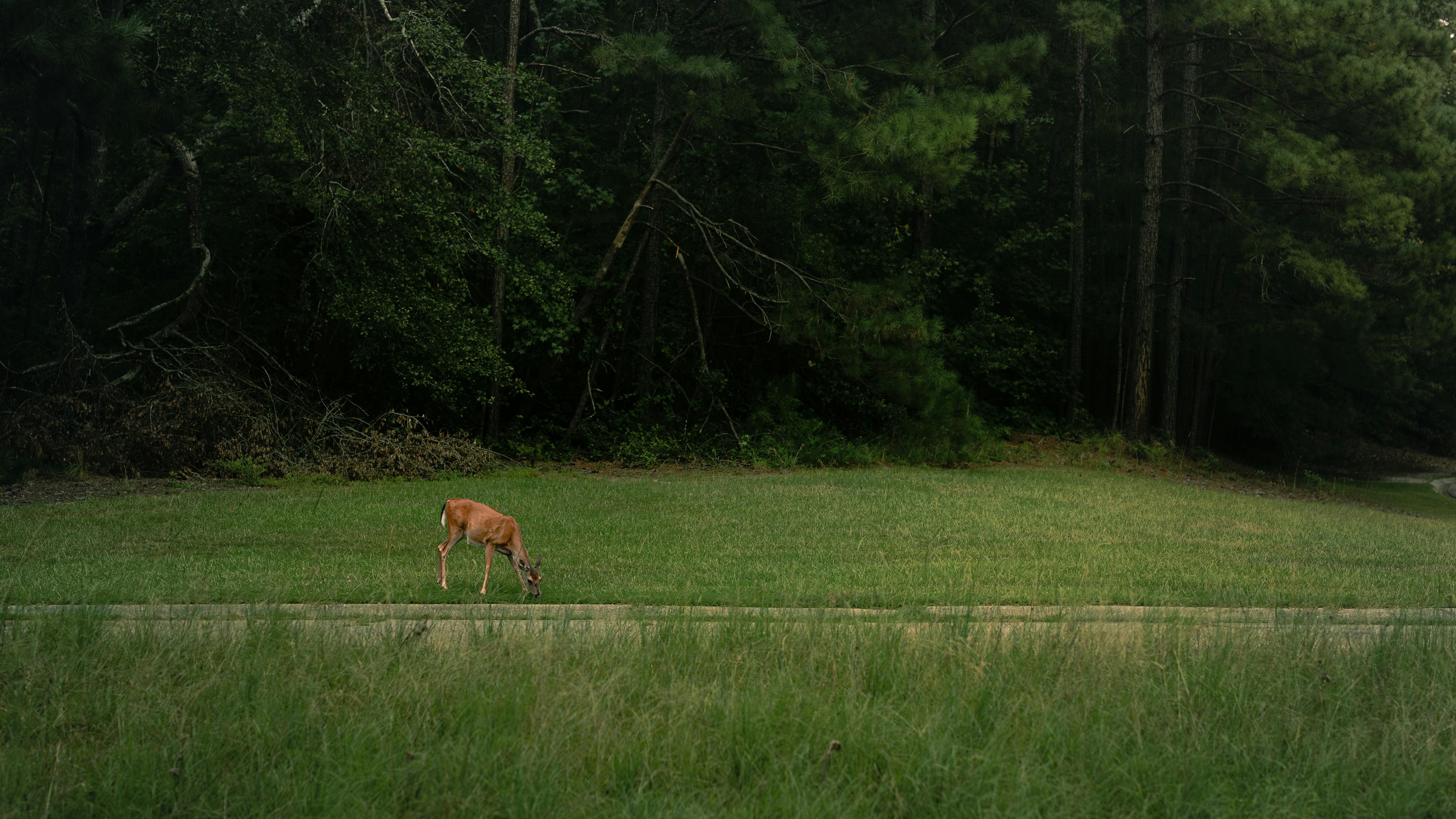 Debunking Myths: Clearing up Common Misconceptions about Tet