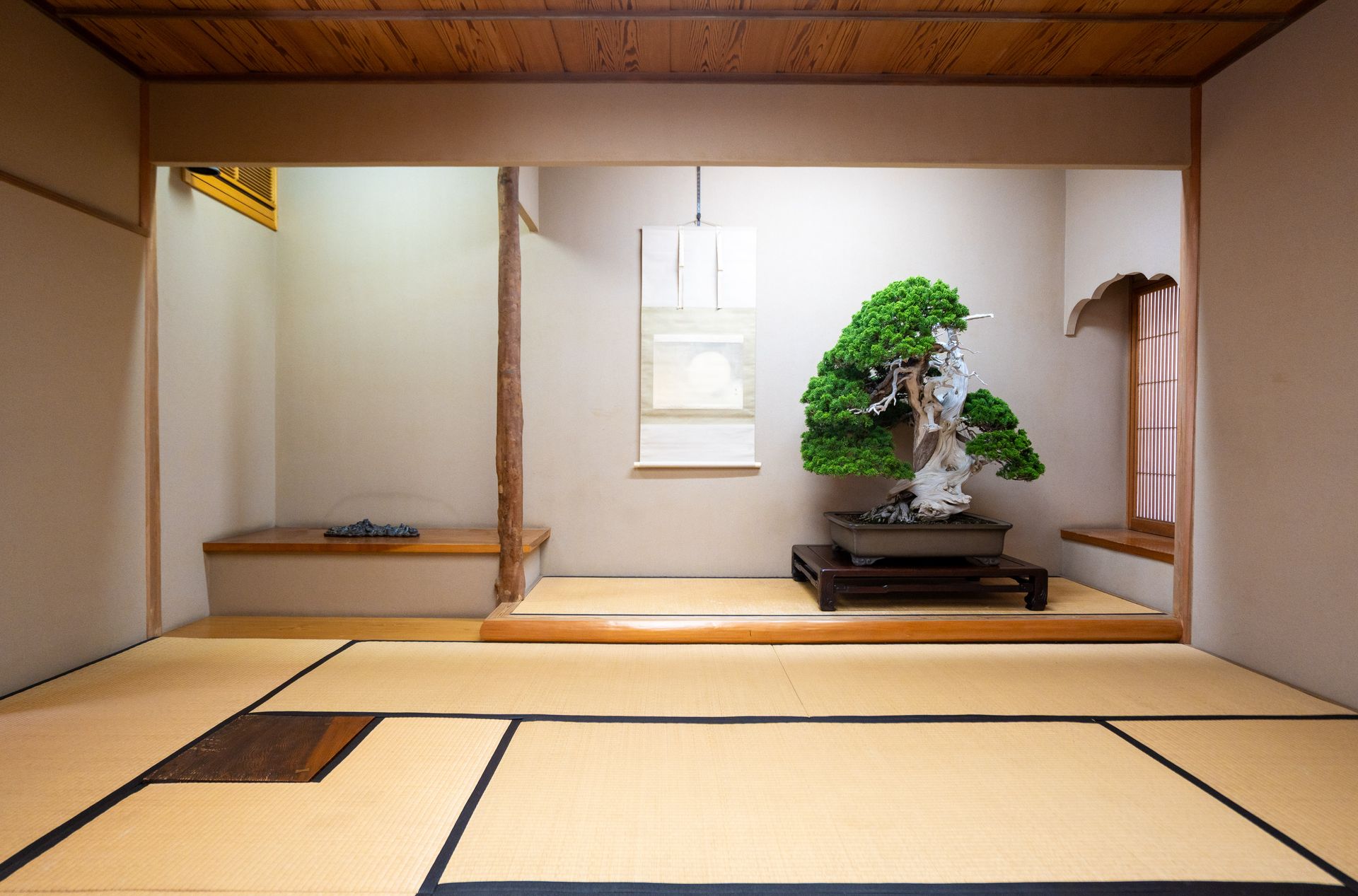 Peaceful Japanese tea room in Tokyo featuring a beautiful bonsai tree and tatami mats.