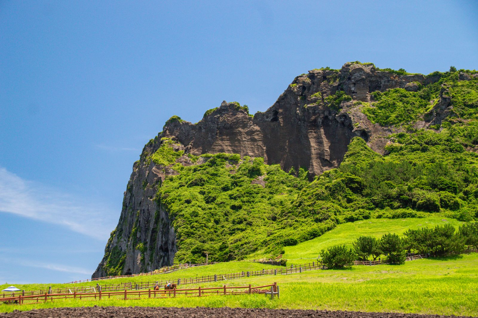 A stunning view of Seongsan Ilchulbong, a lush volcanic cone on Jeju Island, South Korea.