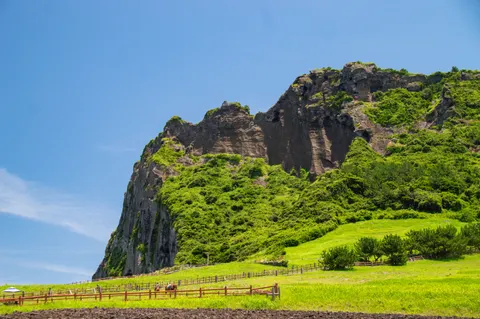 Jeju UNESCO Natural Heritage Private Tour with a Certified Guide
