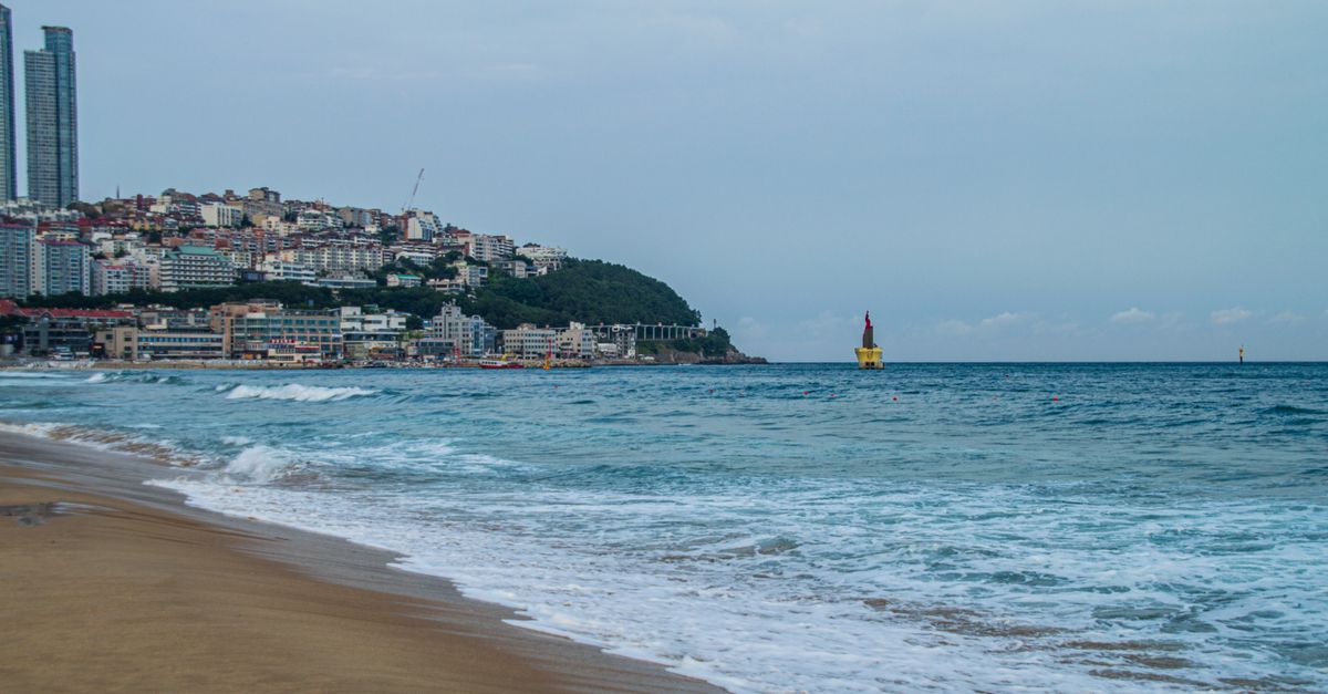 Tranquil scene of Haeundae Beach with city skyline and ocean in Busan, South Korea. visual (Photo: Saksham Vikram / Pexels)