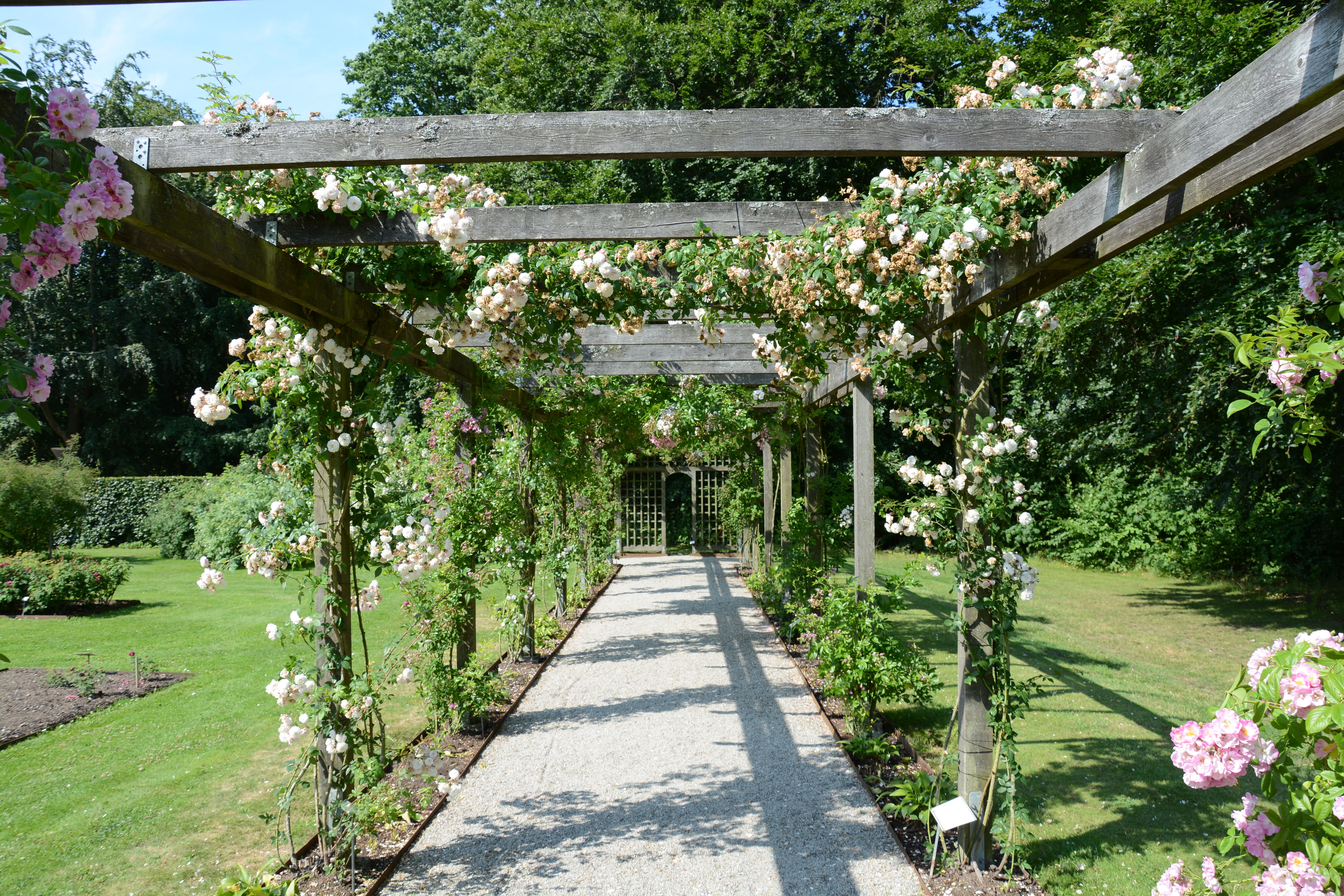 Comment créer un jardin vertical DIY facilement