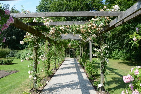 Rose Garden Arbor jigsaw puzzle