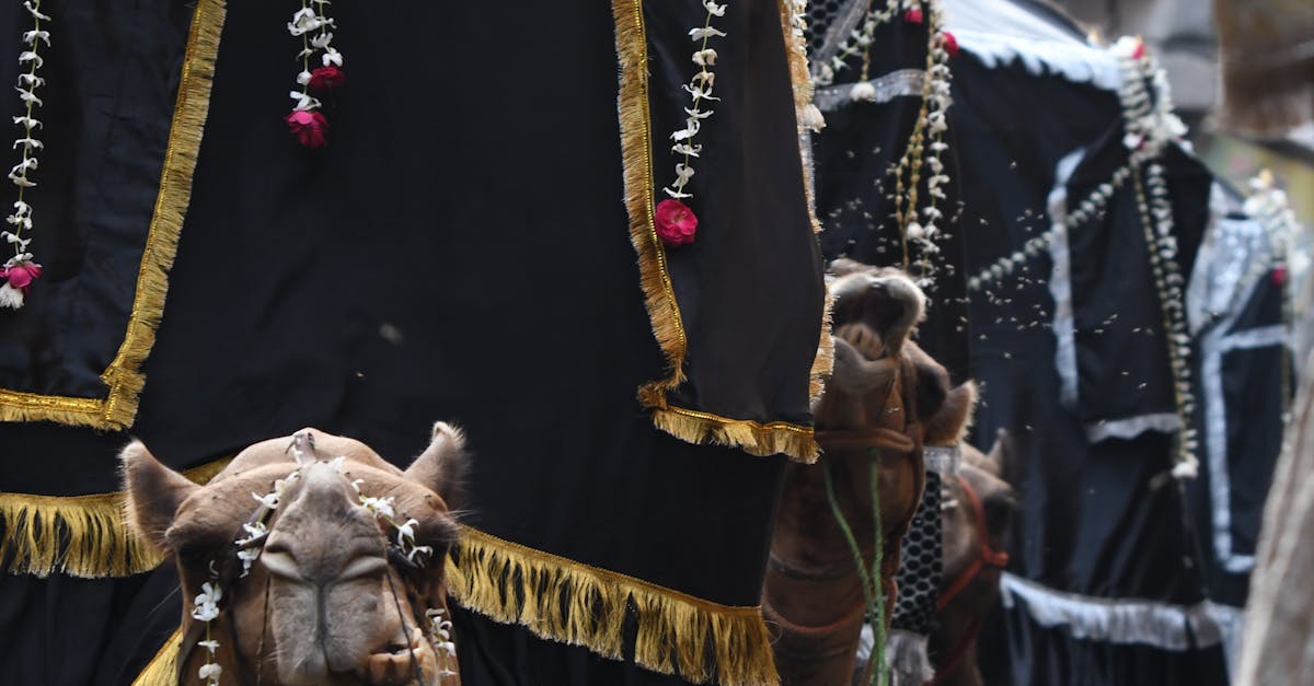 林邊溪流域排灣族小米生活曆與masalut祭祀前祭的起源