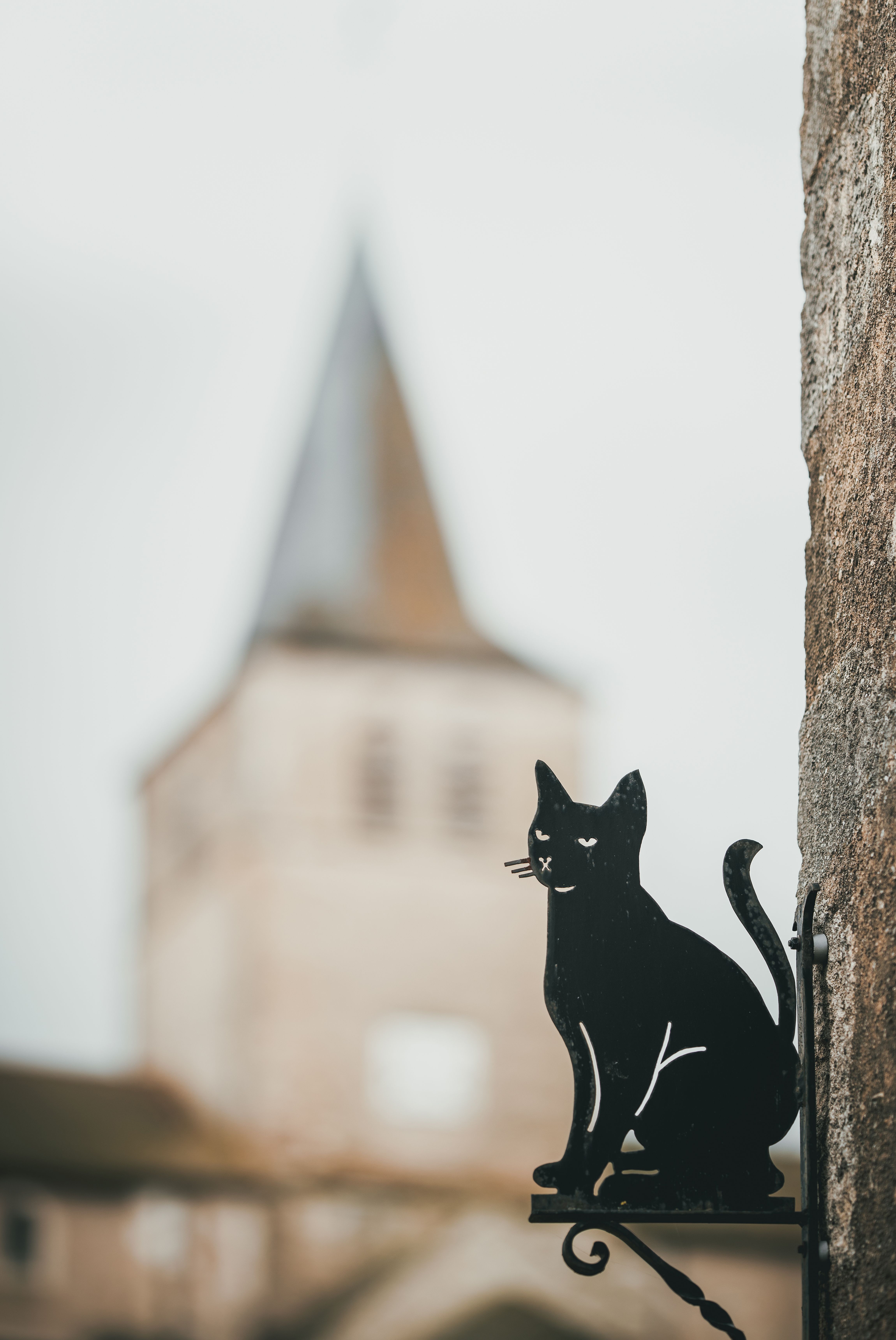 Artistic photograph of a black cat sign with blurred background in Montmorillon, France.