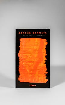 书籍封面设计时尚，黑色背景上点缀着引人注目的橙色抽象图案