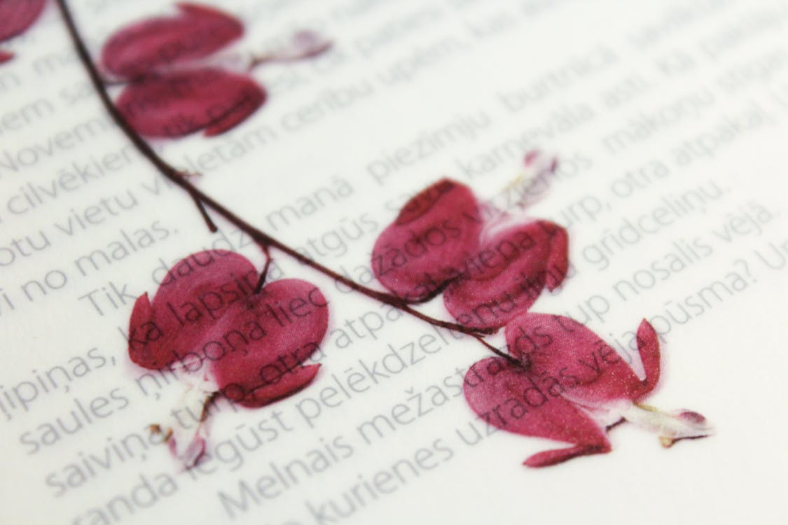 Dried Flowers with Printed Text