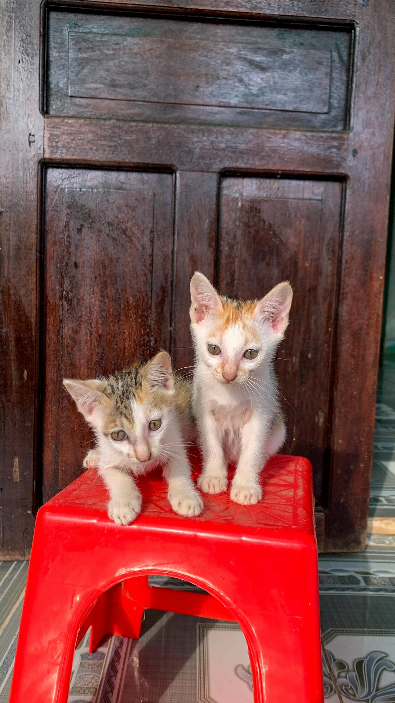 Điều phụ nữ chưa hiểu về đàn ông