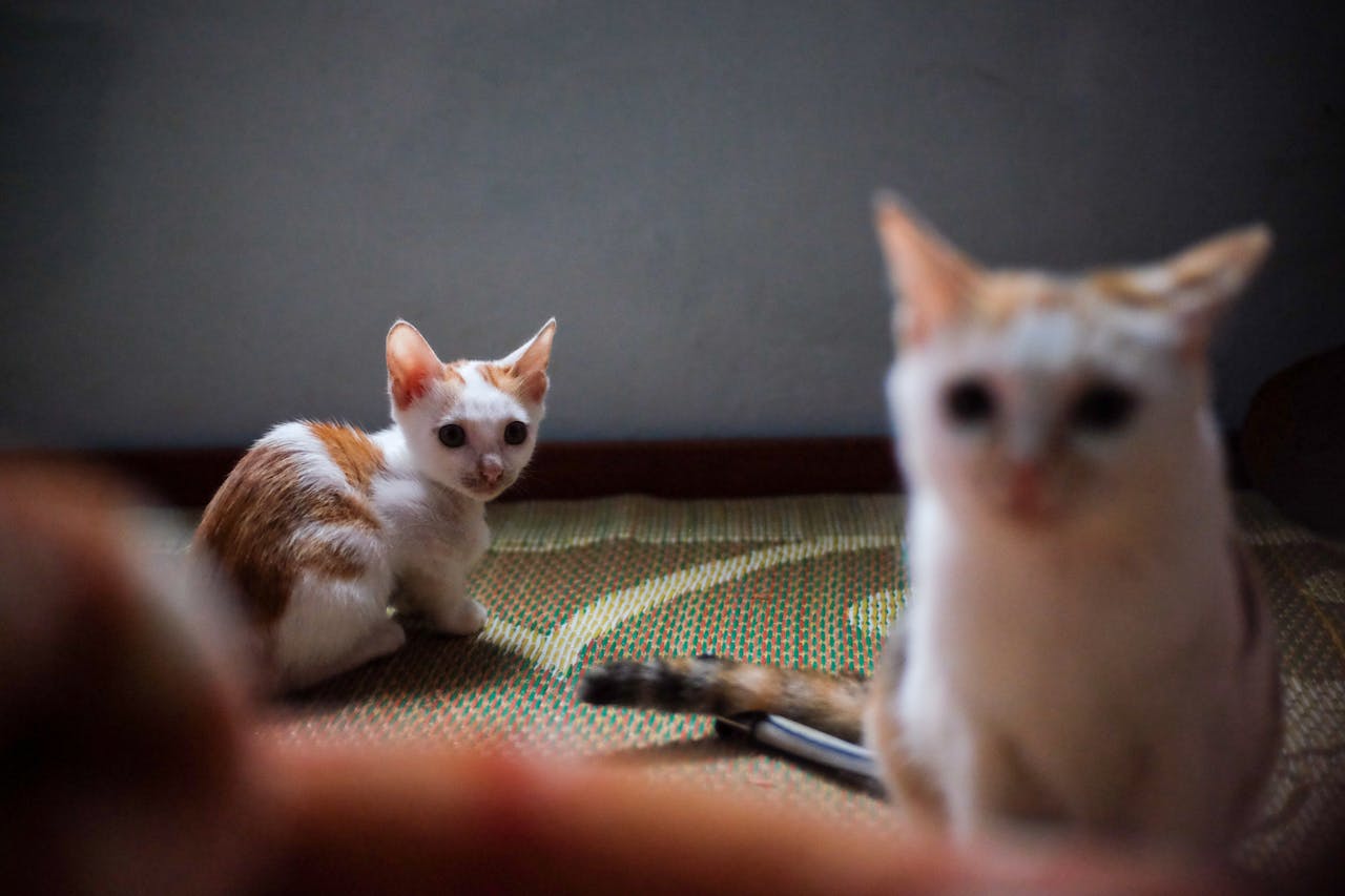 Tăng tốc index website với Google Indexing API