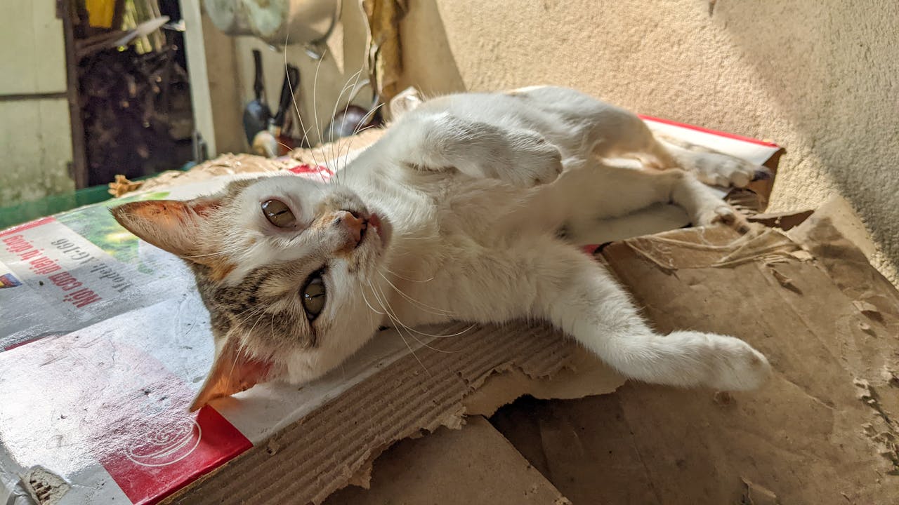 9 tên gọi thú vị cho những điều bình thường