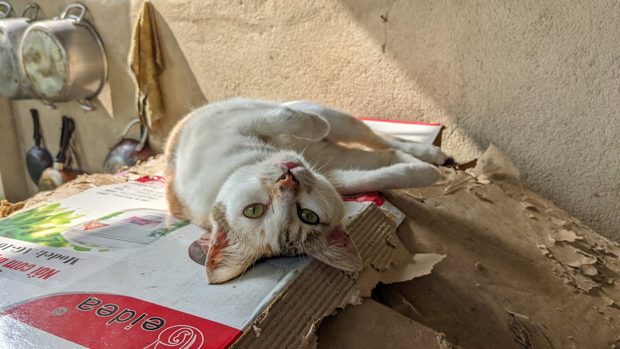 Bây giờ mới thấy | Chương 06