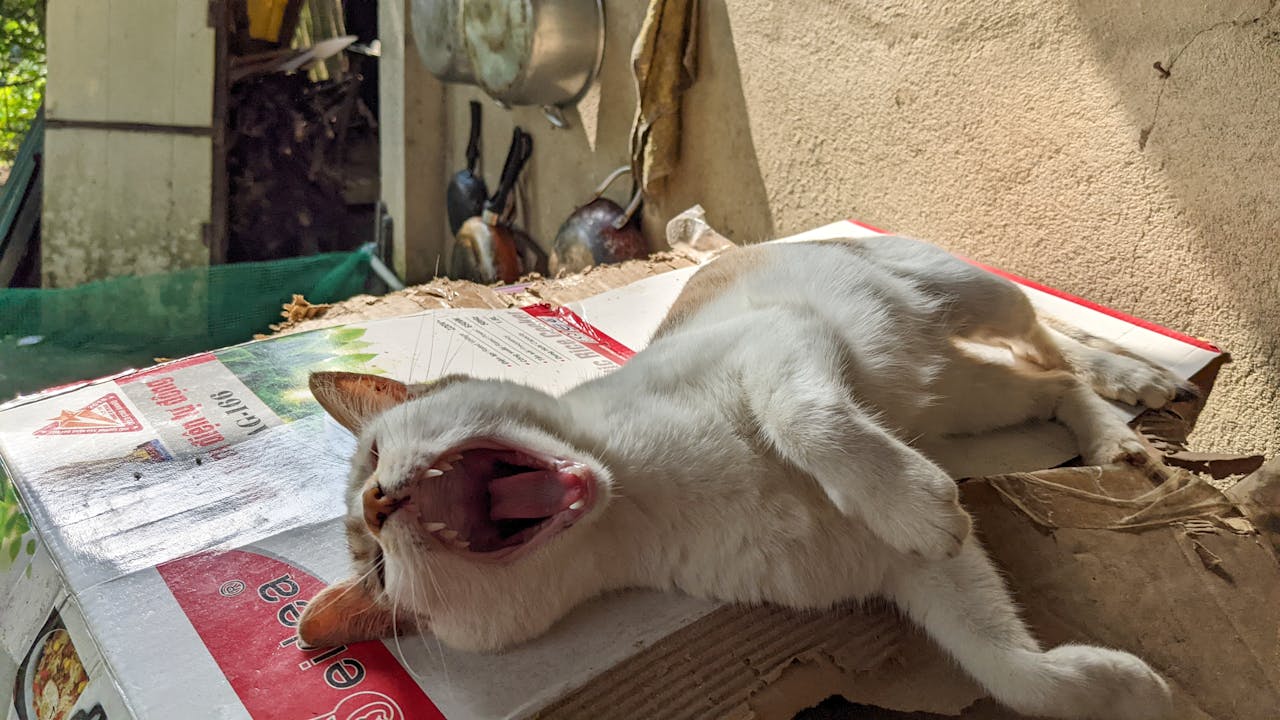 Thám tử lừng danh Conan | Chương 1131