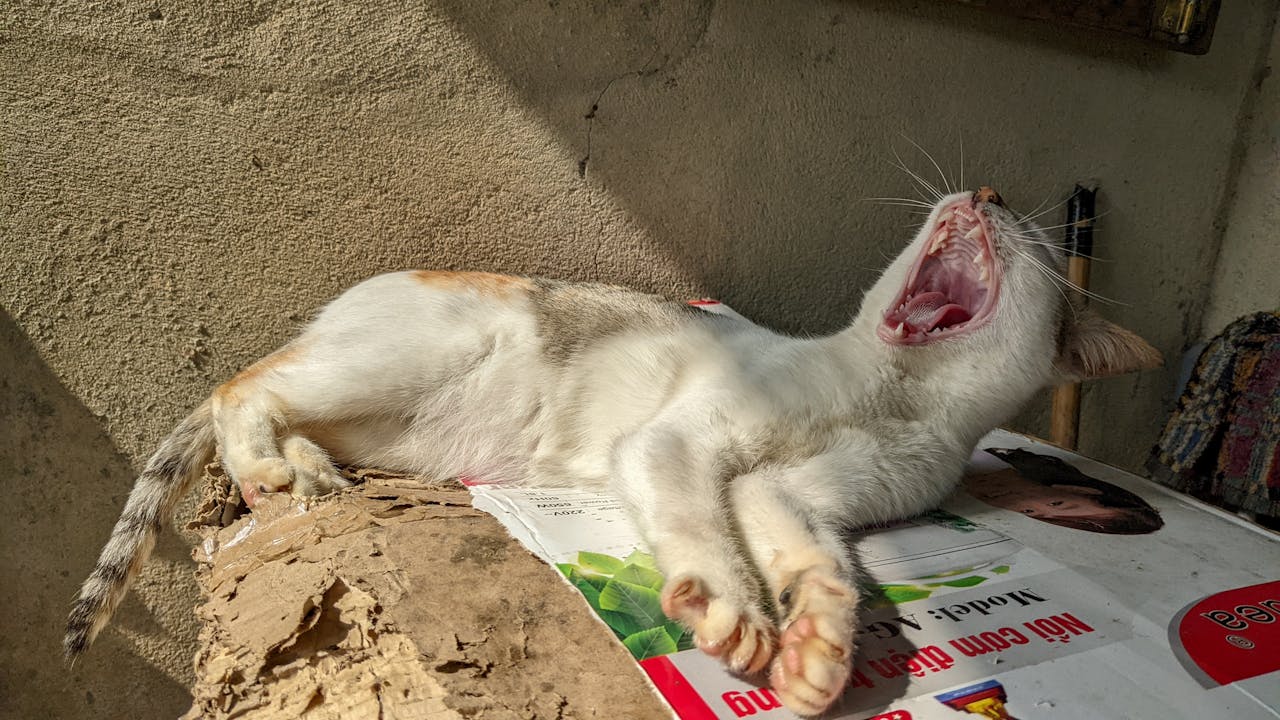 Thám tử lừng danh Conan | Chương 0694