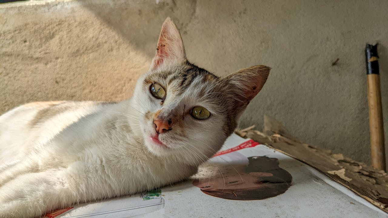 Lợi ích của office hoteling trong ngành khách sạn