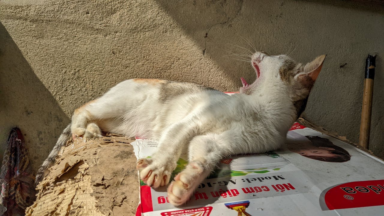 Thám tử lừng danh Conan | Chương 0227