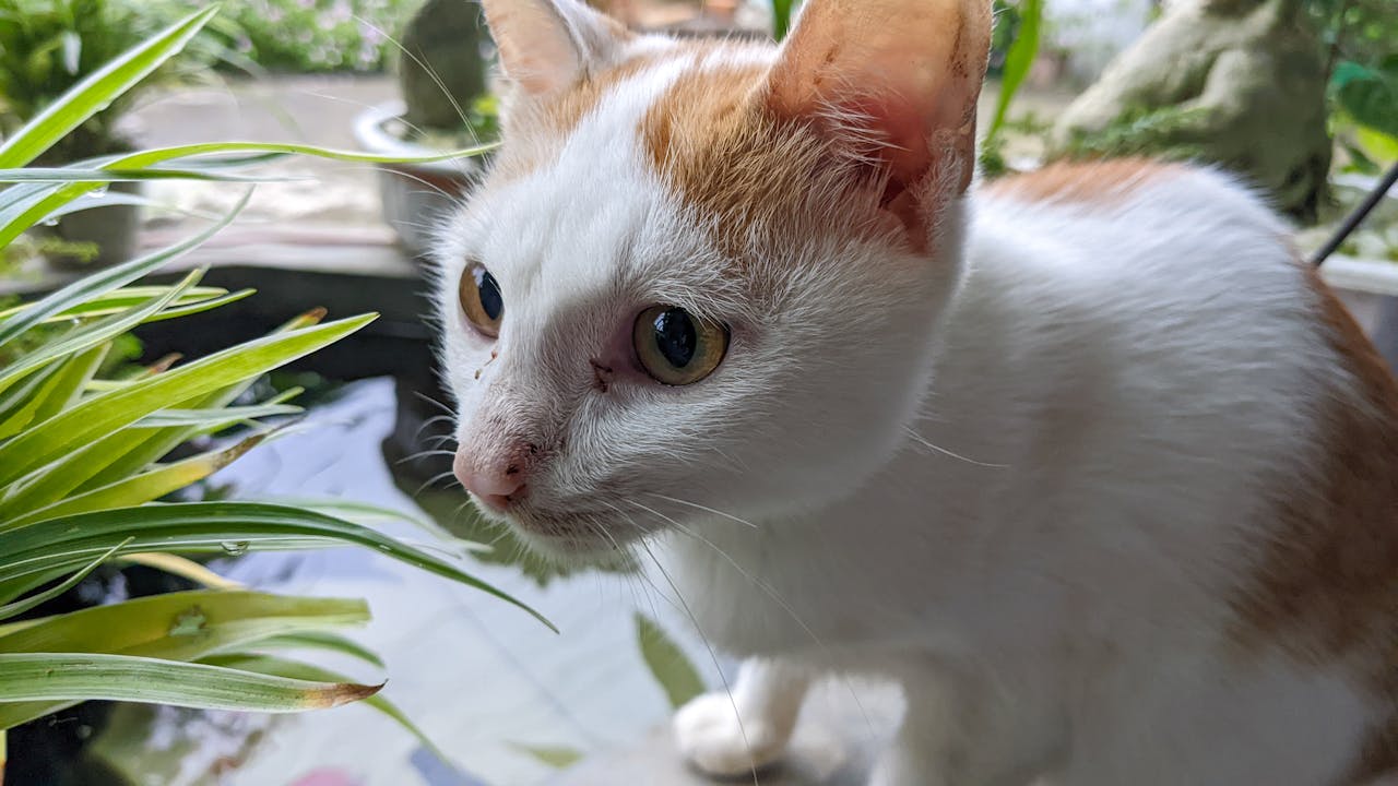 Tạo xung đột hấp dẫn trong câu chuyện