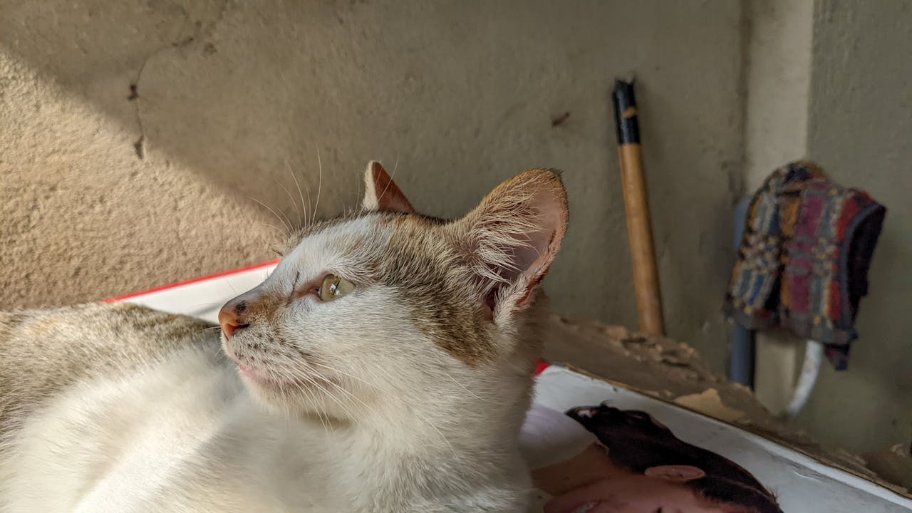 PMS Channel Manager đem lại lợi ích gì cho khách sạn