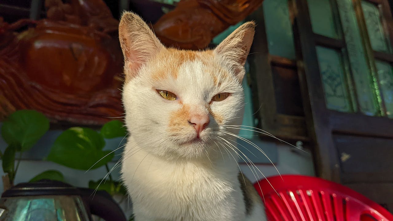 Đạt trạng thái flow state cho sáng tạo tự nhiên