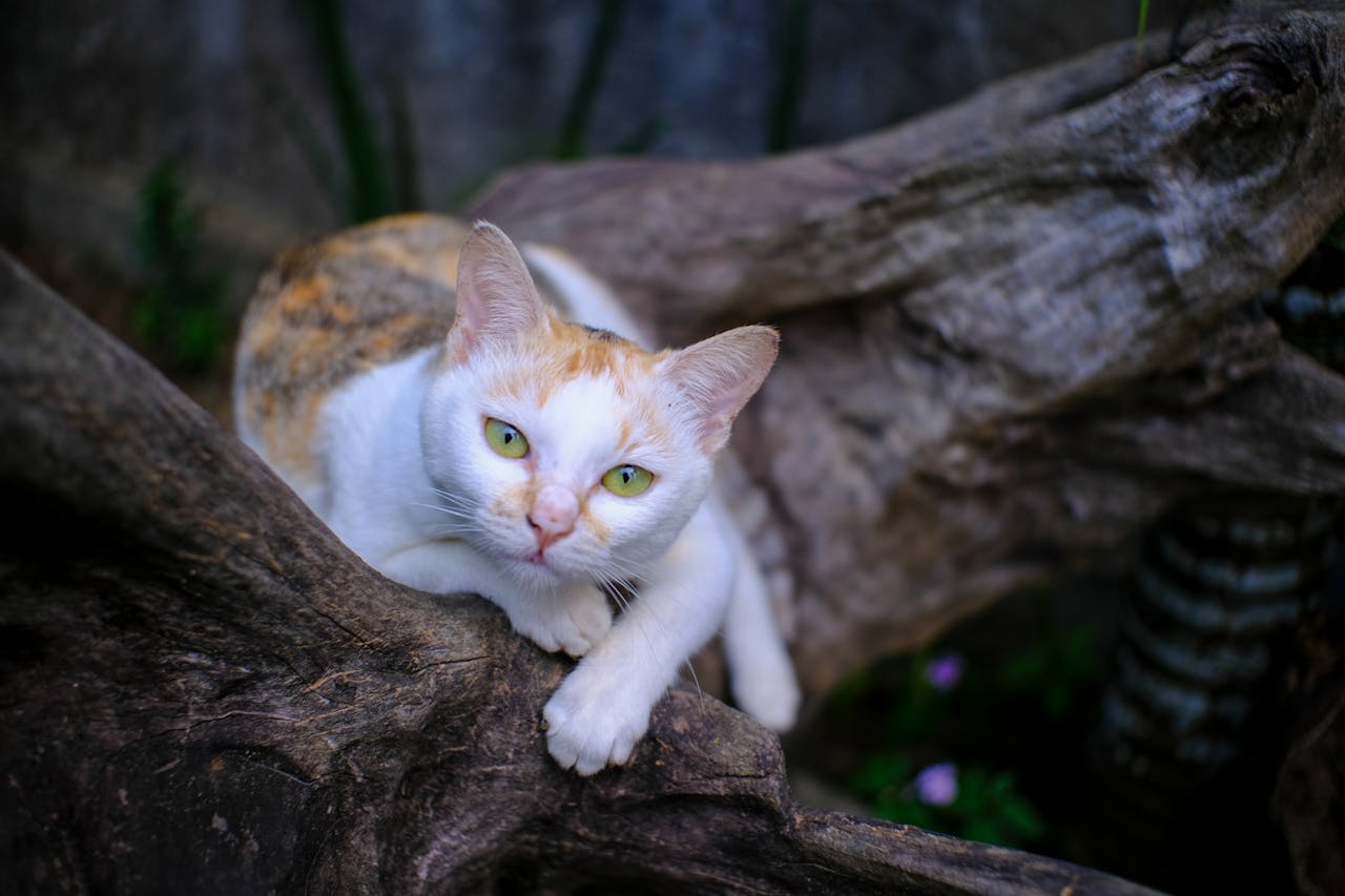 Cẩm nang du lịch Phú Quý