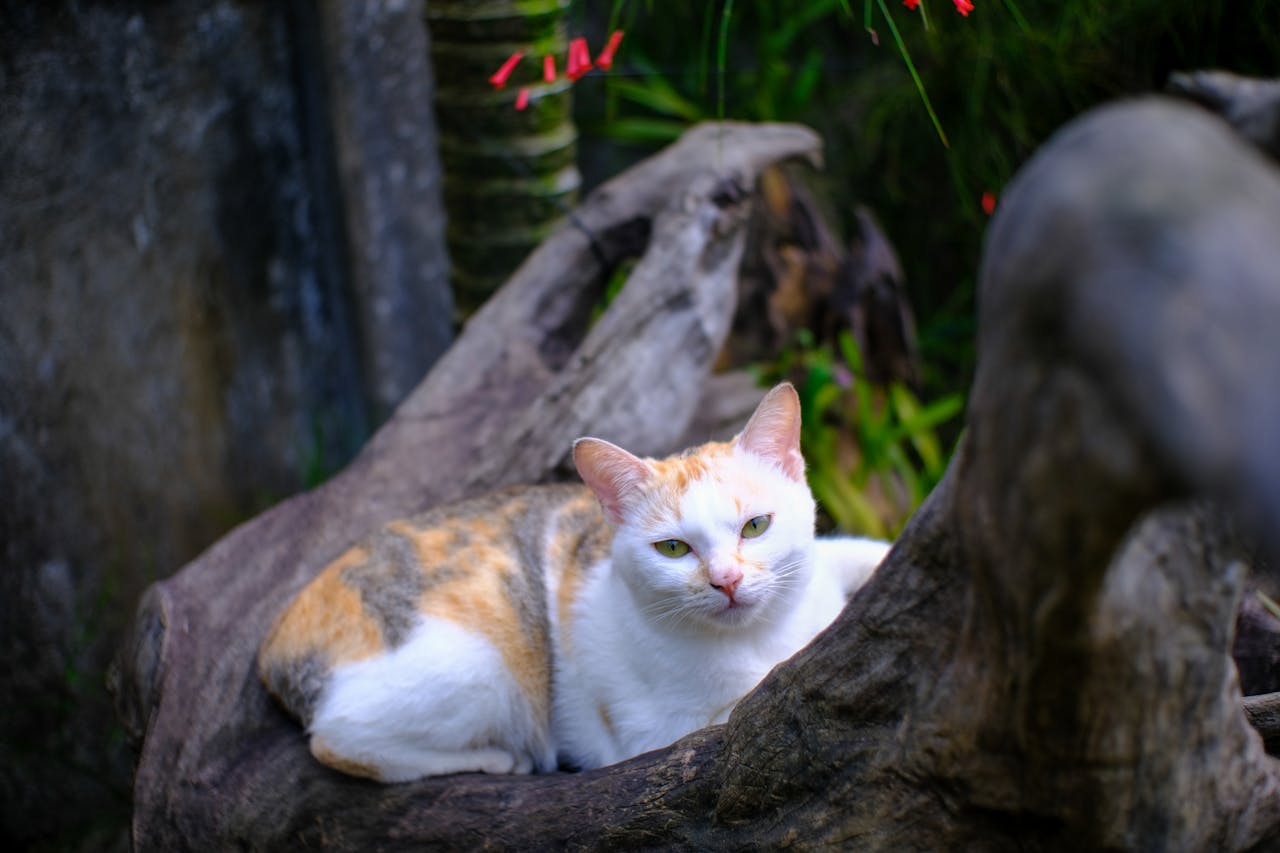 Giảm chi phí lao động cho nhà hàng