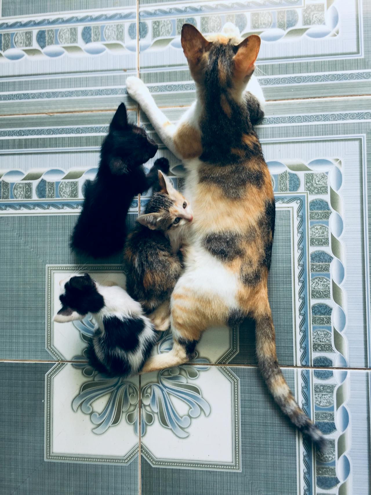 Tiểu sử nhà văn Nam Cao