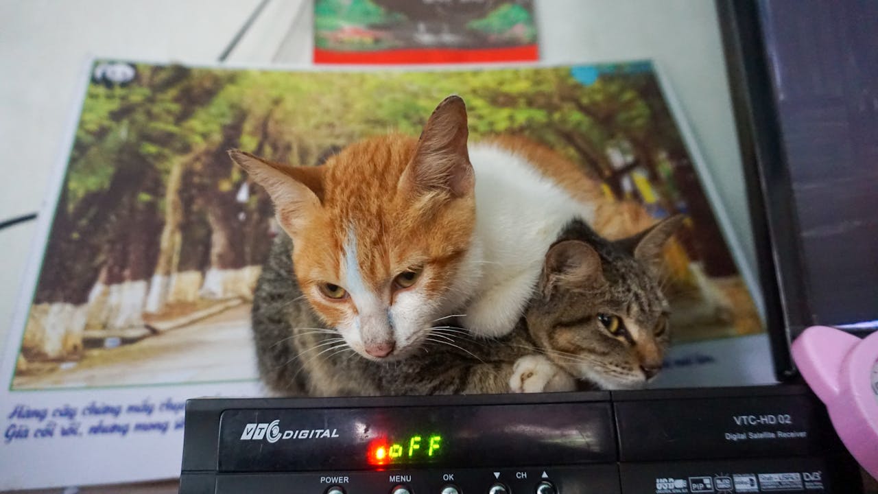 Kiểm soát mất quyền lực để thành công