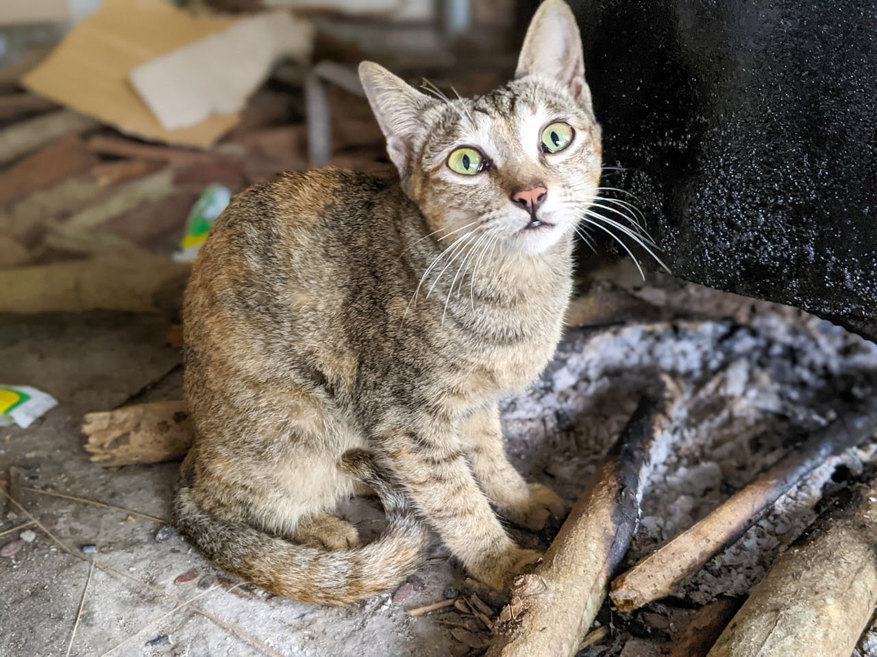 Thám tử lừng danh Conan | Chương 0133