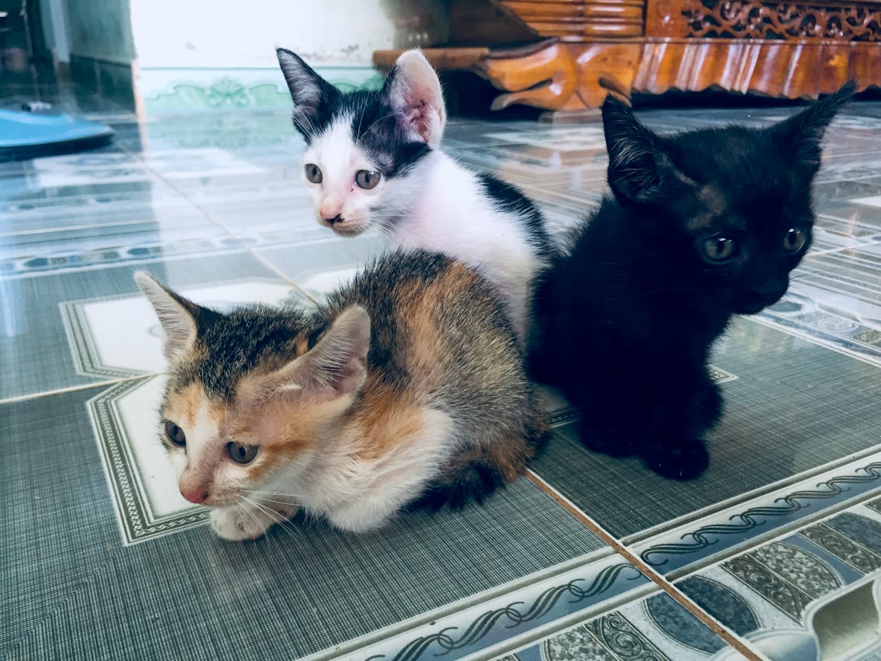 5 kiệt tác văn chương với plot hole lớn