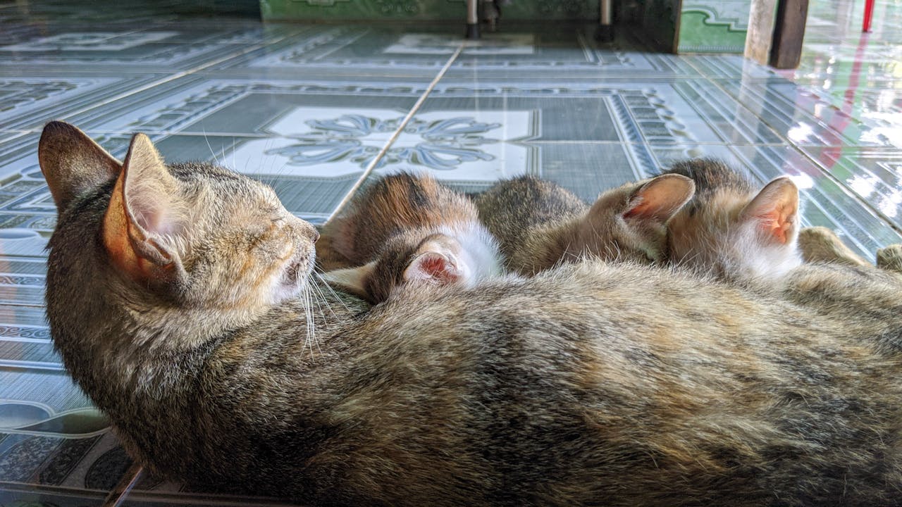 Cẩm nang du lịch Cù Lao Xanh