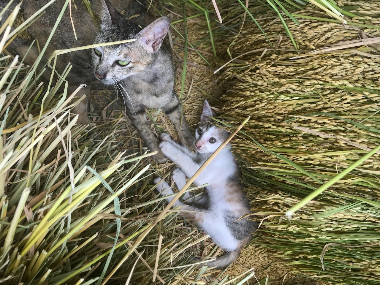 Cân bằng tinh thần và công việc cuối tuần