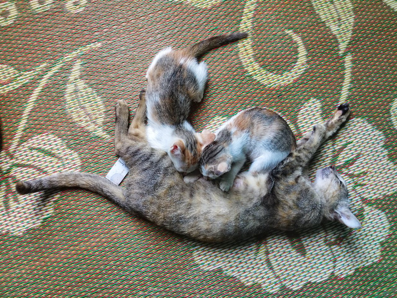 Ánh sáng trong nhiếp ảnh