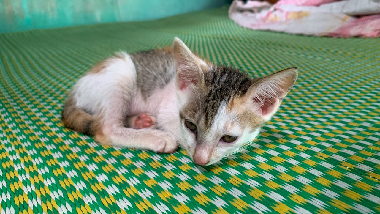 Cái giá tiềm ẩn của việc theo đuổi sự rõ ràng