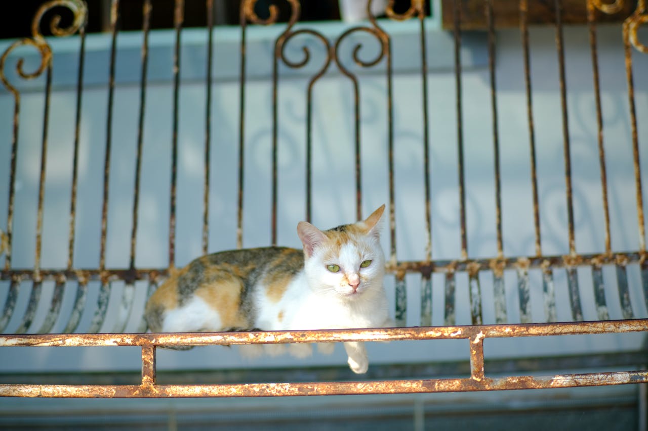 Thiên long bát bộ | Chương 27