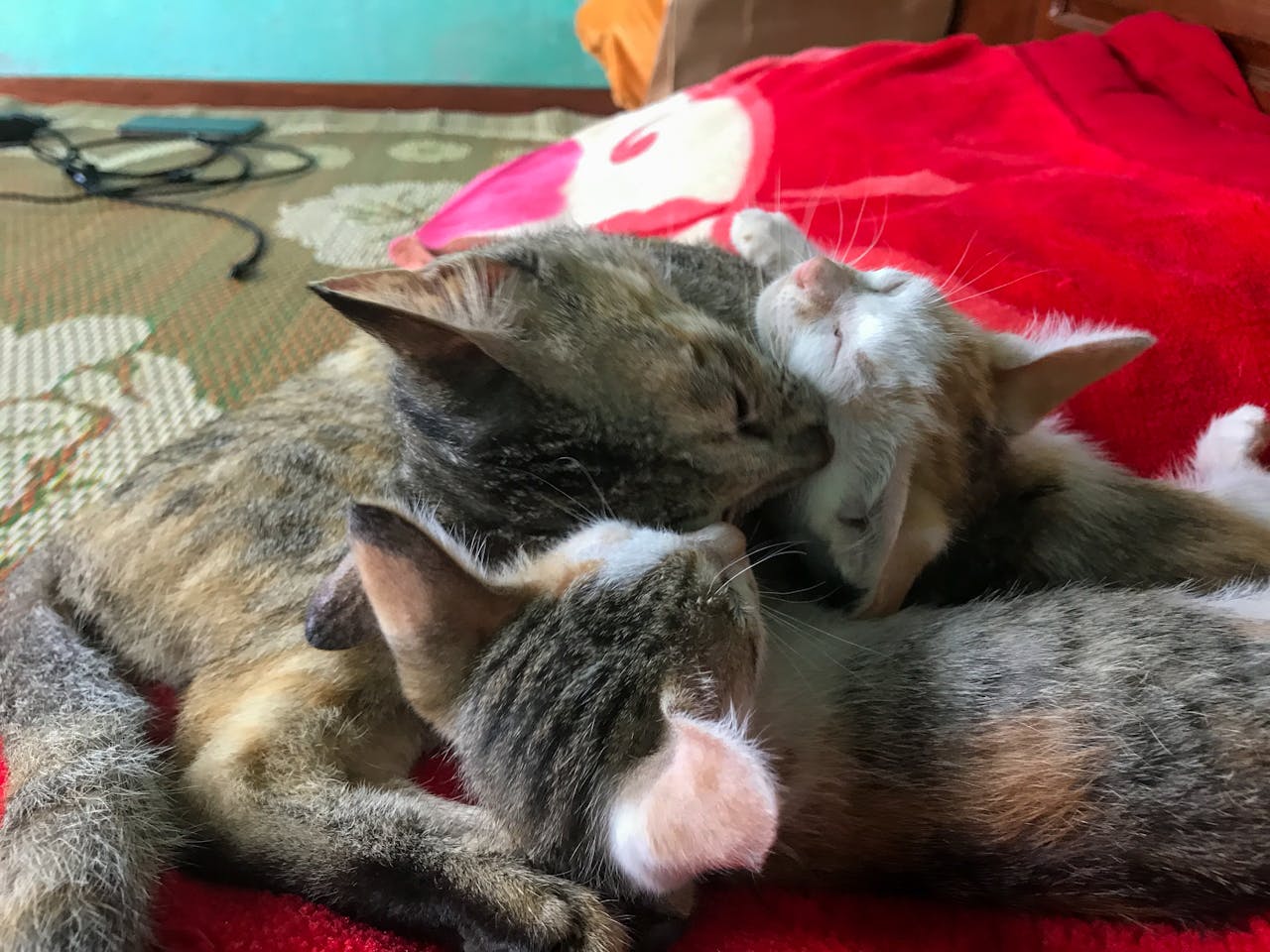 Đại dương không phải là một nơi yên tĩnh