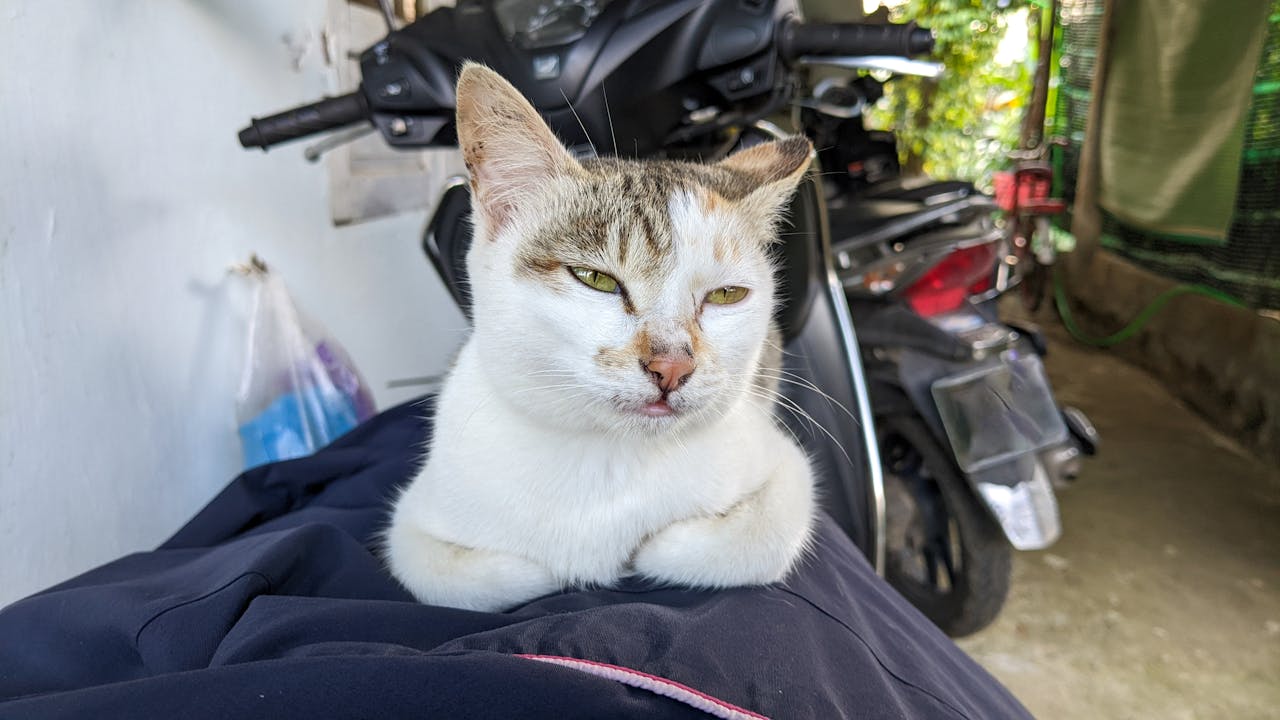 Hiểu đúng chữ Khổ trong Phật giáo