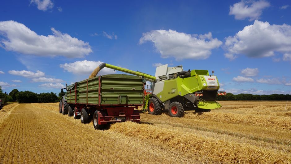 Yield farming: Peluang atau jebakan? Yield farming: Peluang atau jebakan?