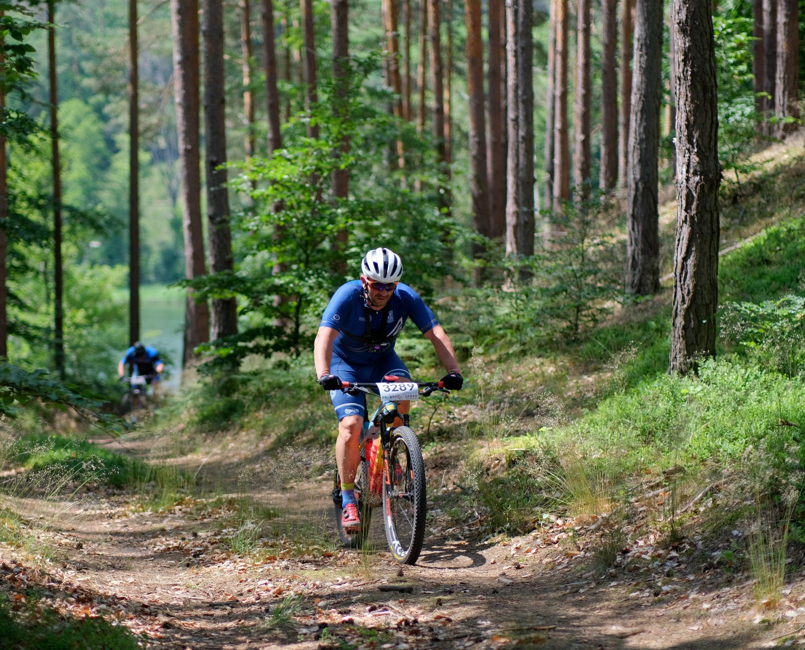 Deux vététistes parcourent un sentier pittoresque dans une forêt de pins, mettant en valeur l'aventure en plein air et la nature.
