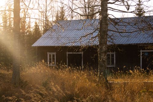 Free Cozy wooden cabin surrounded by golden autumn trees in warm evening light. Stock Photo