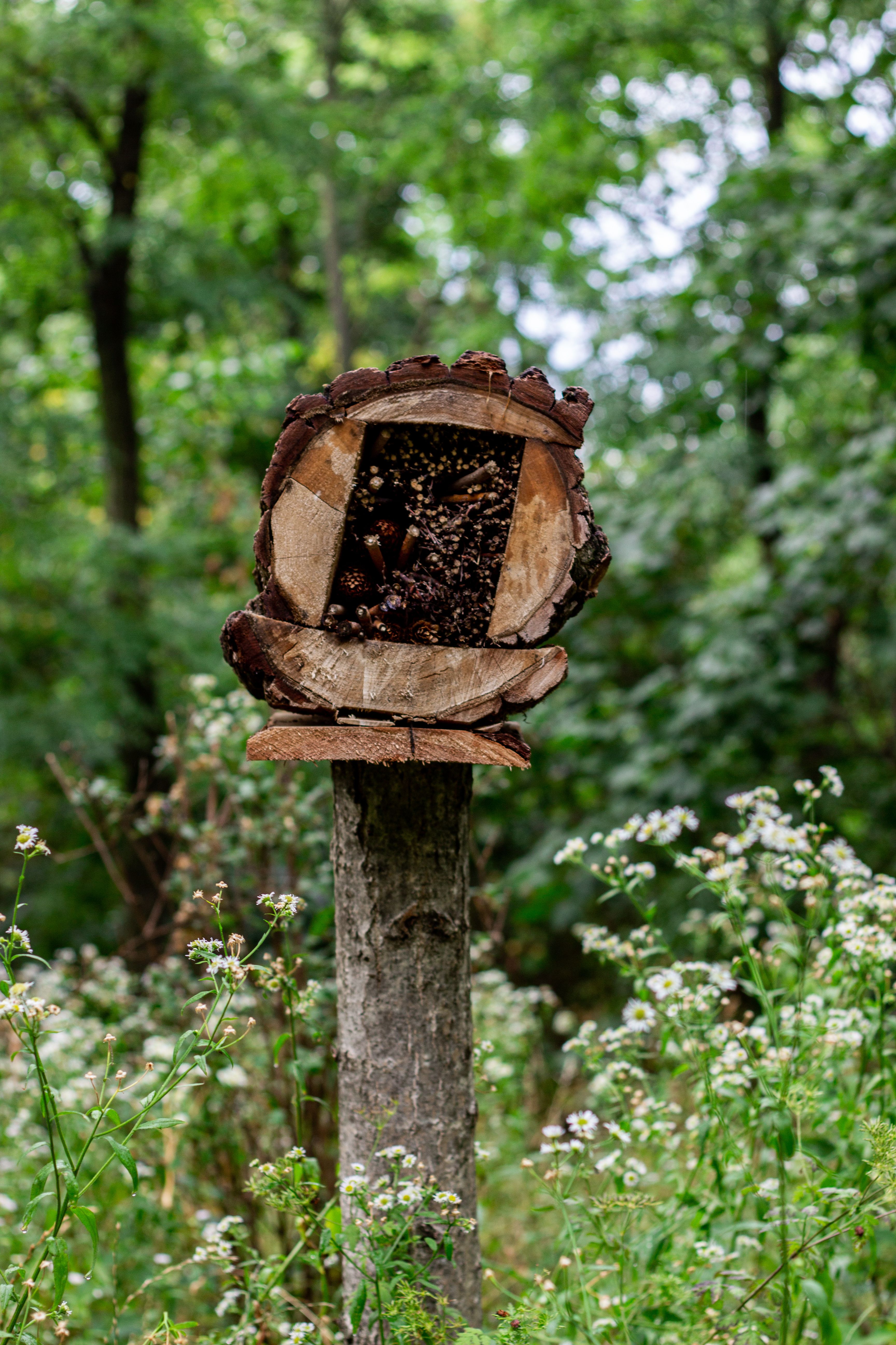 Honeycomb Nutcracker main image 1