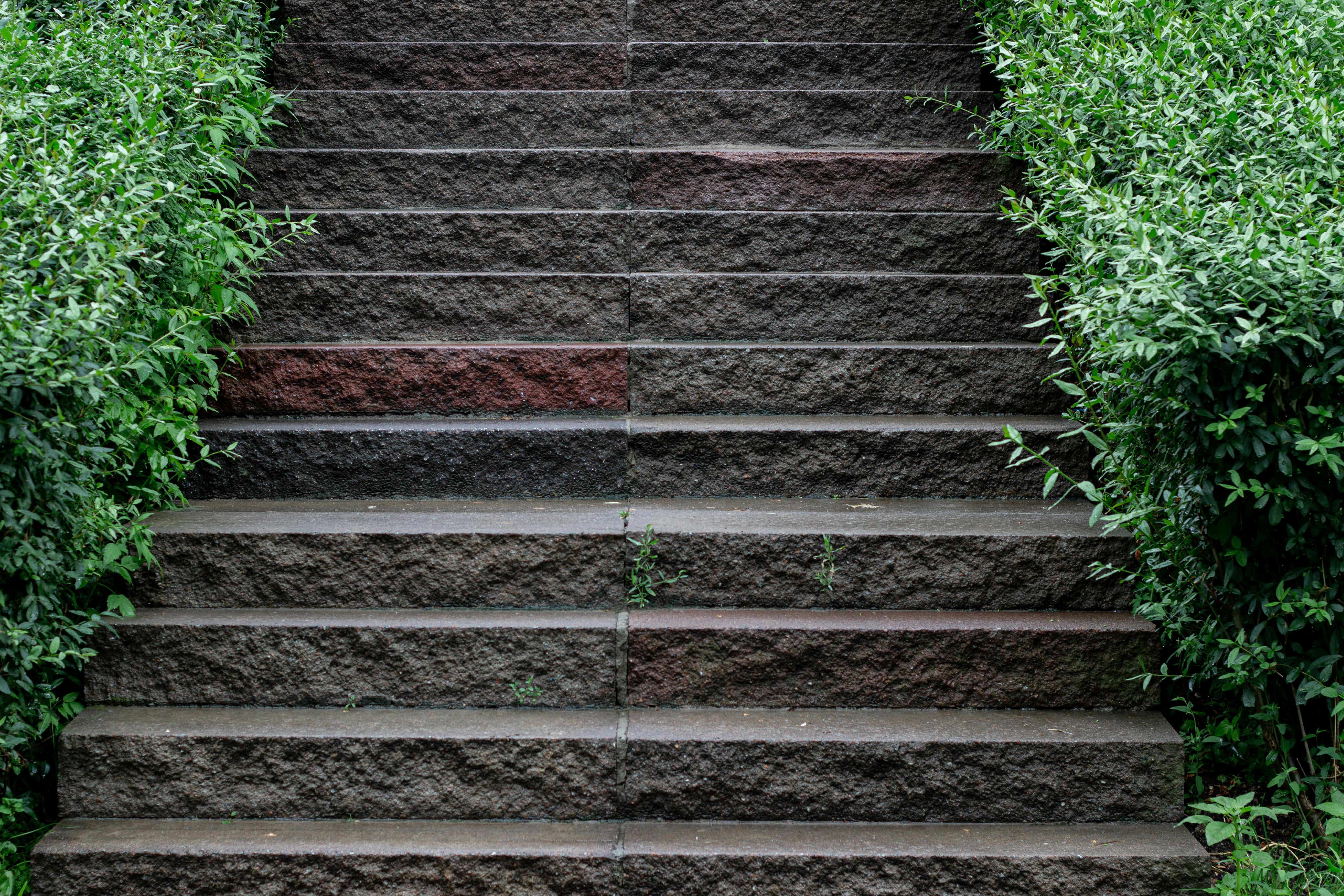 Photo by Наталья Севрук on Pexels