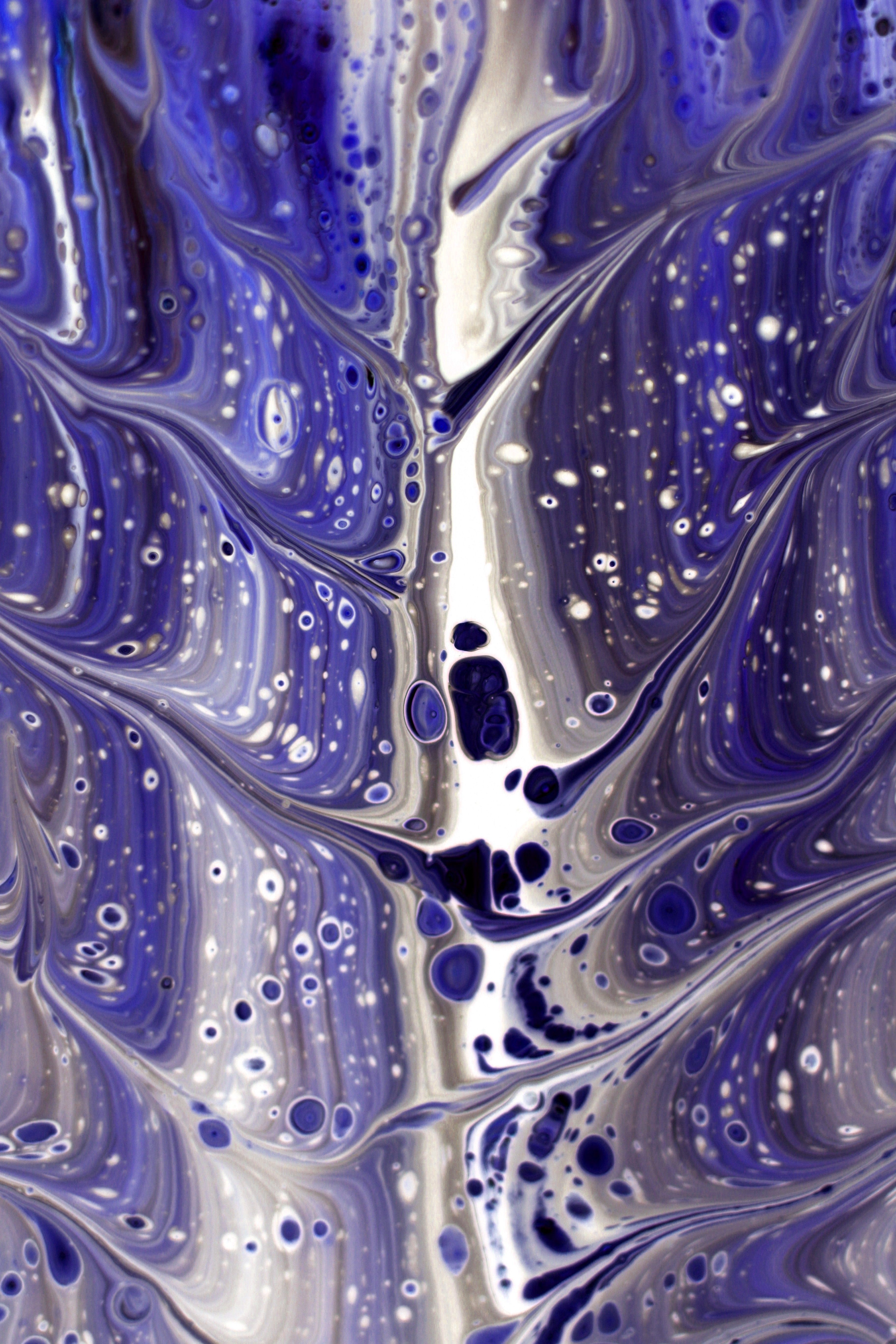 Abstract Blue and White Fluid Art Texture · Free Stock Photo